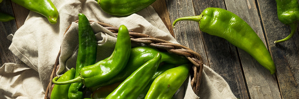 Fresh hand picked Hatch green chiles in a basket on a wooden table